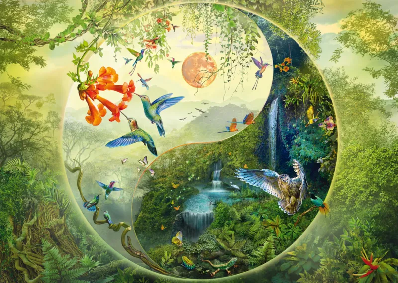 Yin & Yang - In the Forest of Hummingbirds