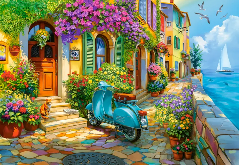 Coastal Life
