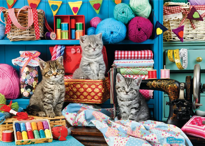 Kittens in the Sewing Room