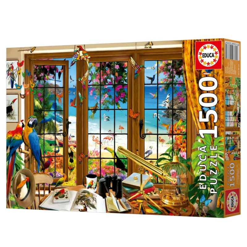 Birdwatching Window