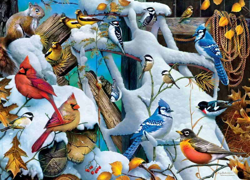 Audubon - Snow Birds