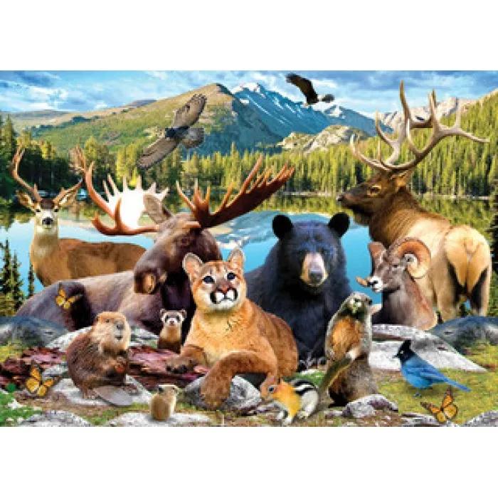National Parks - Rocky Mountain