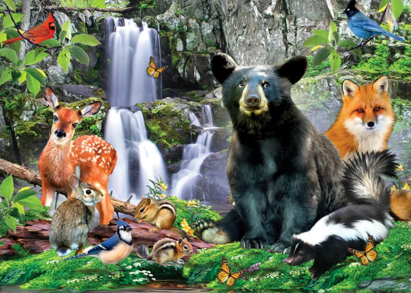 National Parks - Shenandoah