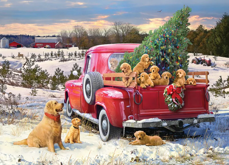Family Outing