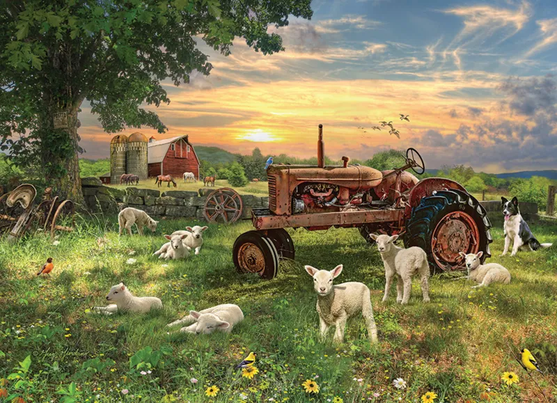 Field at Sunrise