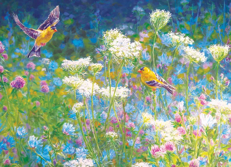 Visiting the Meadow
