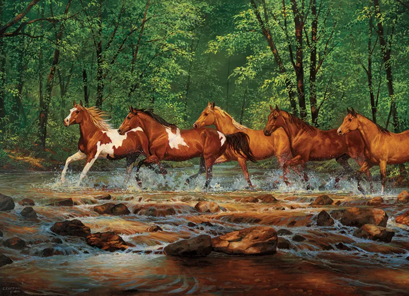Spring Creek Run