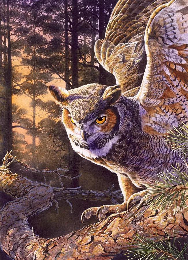 Evening Hunter