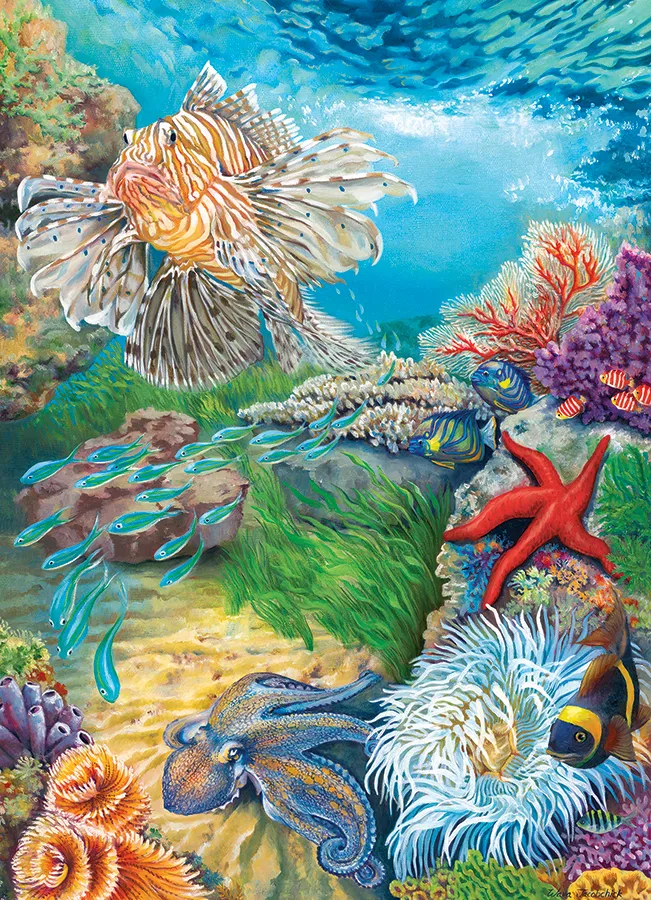 Reef Life - Random Cut