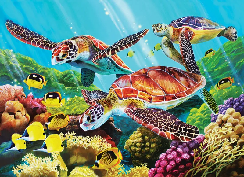 XXL Pieces - Molokini Current