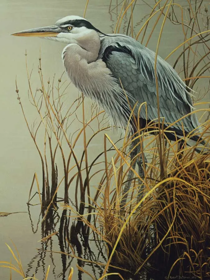 XXL Pieces - Great Blue Heron