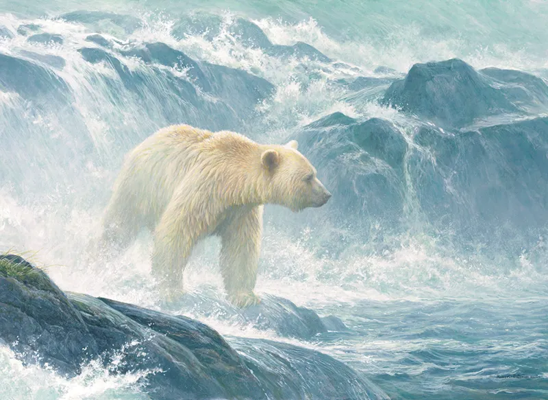 XXL Pieces - Salmon Watch - Spirit Bear