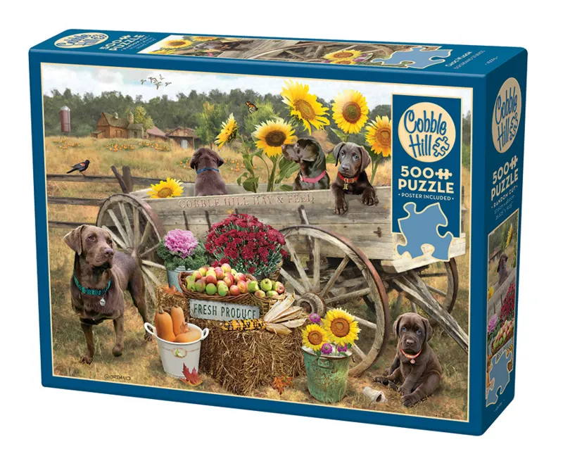 Choc Wagon