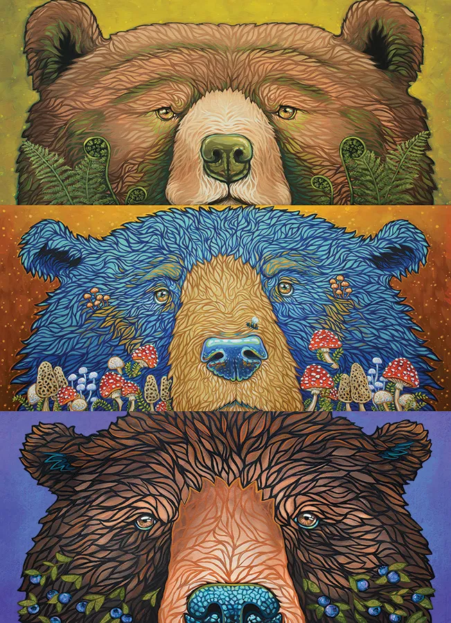 XXL Pieces - Bear Eyes: Harvest - Random Cut
