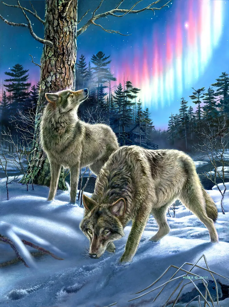 Wolves and Lights