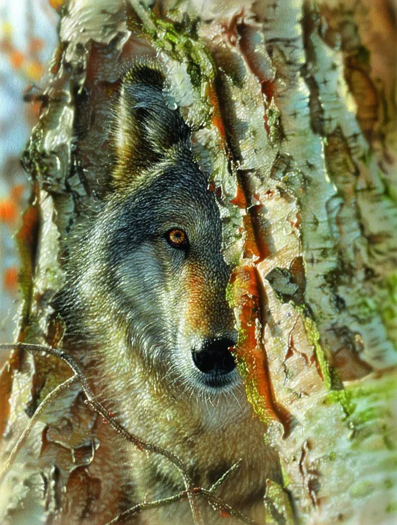 XXL Pieces - Wolf Encounter