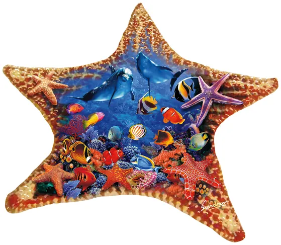 Steve Sundram - Starfish