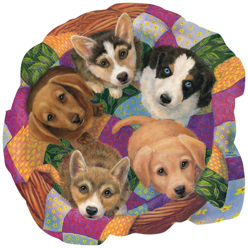 Litter of Puppies