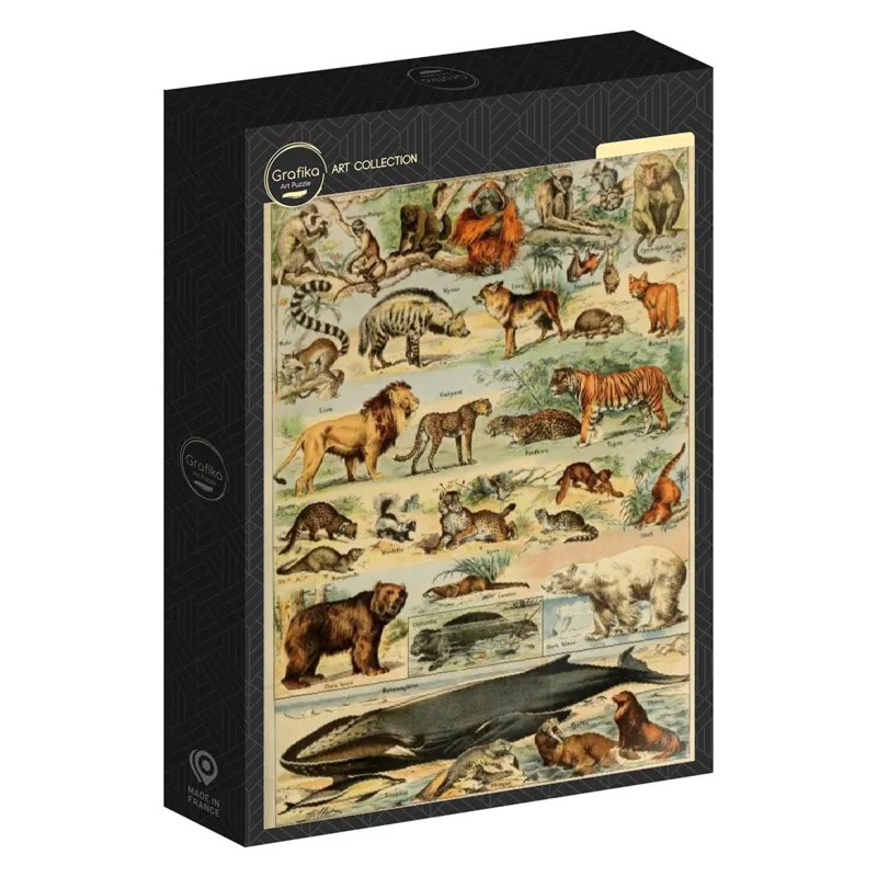 Illustration from the Larousse pour Tous: Mammals, 19th Century