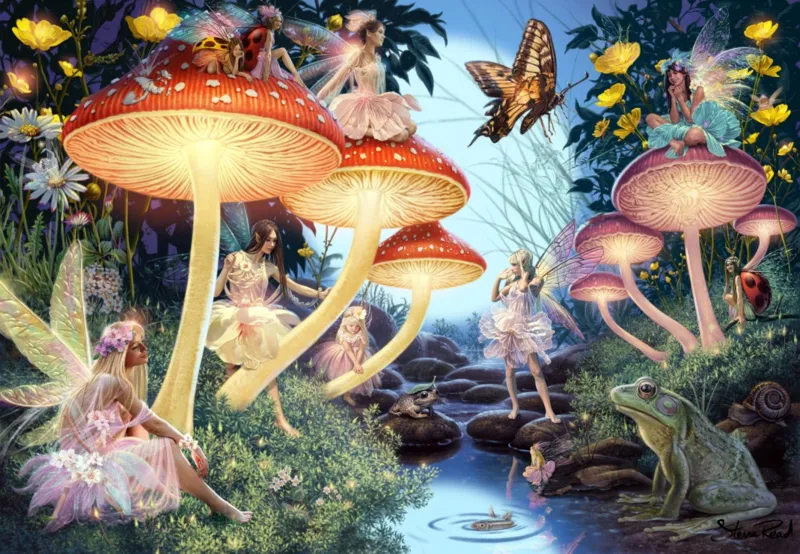 Toadstool Brook