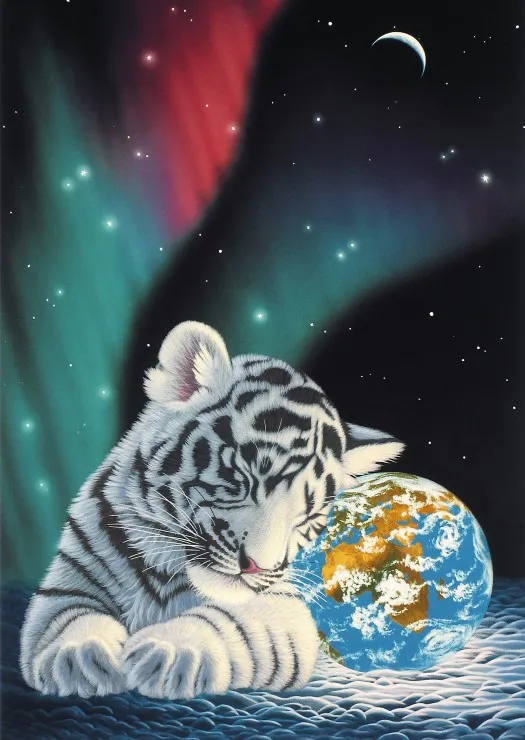 Schim Schimmel - Earth Light