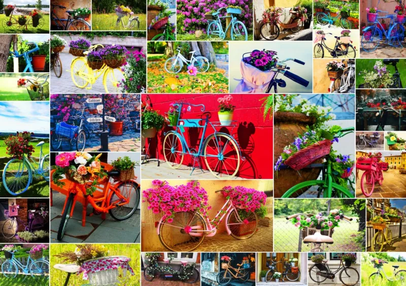 Collage - Bikes