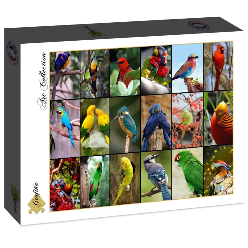 Collage - World's Most Beautiful Birds