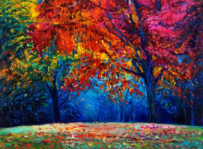 Autumn Forest