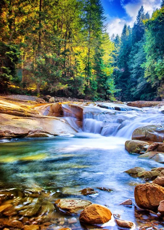 Beautiful Waterfall in the Forest