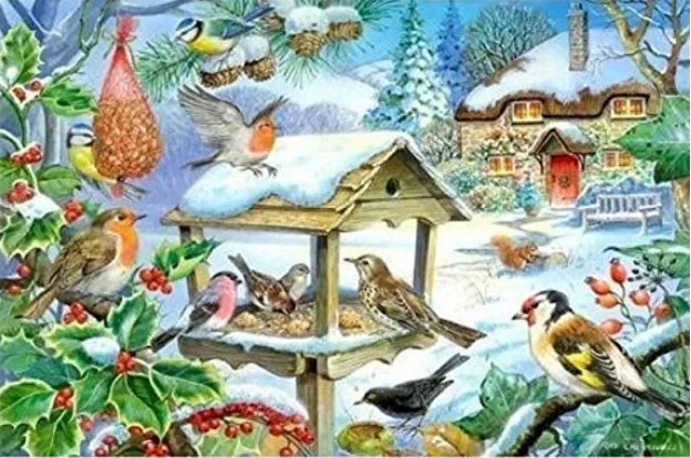 XXL Pieces - Feed The Birds