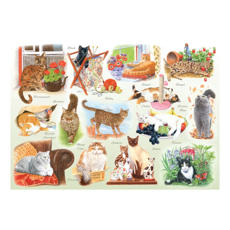 XXL Pieces - A Clowder of Cats