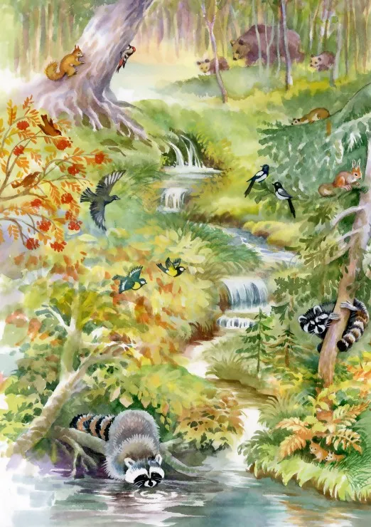 Forest Animals