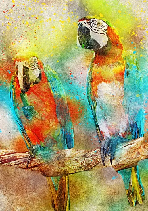Parrots