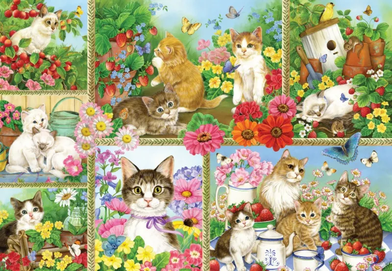Cats and Kittens