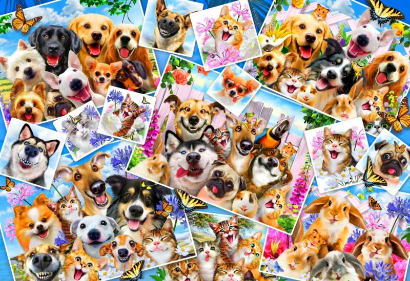 Selfie Pet Collage