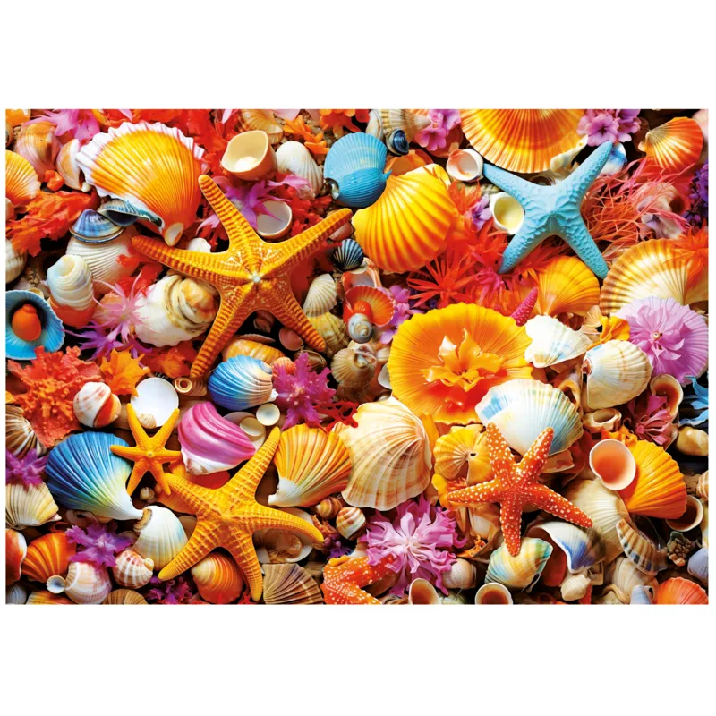 Shell Collage