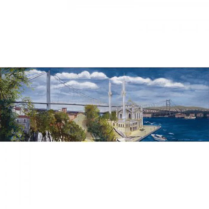 Turkey Special Collection : Ortakoy Panorama