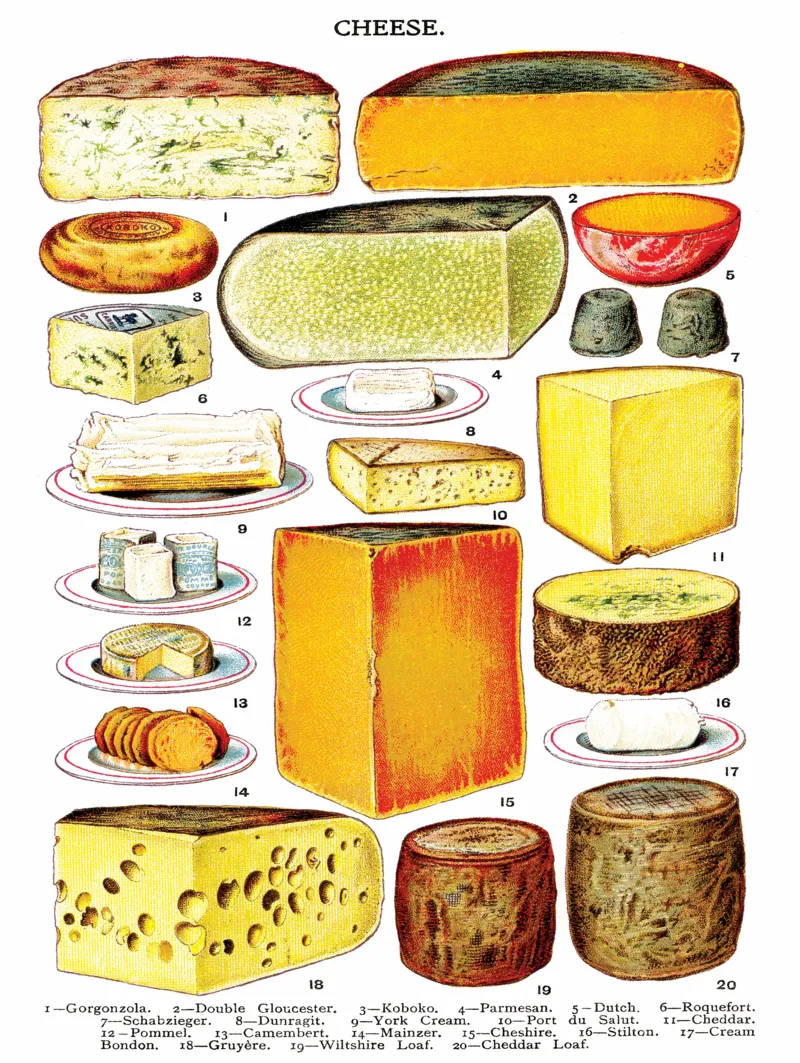 XXL Pieces - Cheese