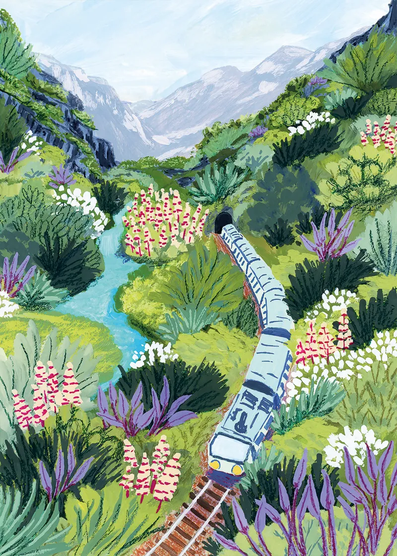 Train Travel