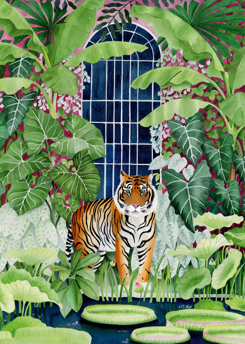Greenhouse Tiger