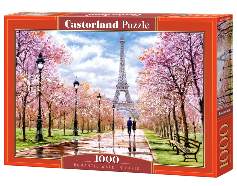 Romantic Walk in Paris