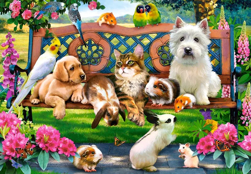 Pets in the Park