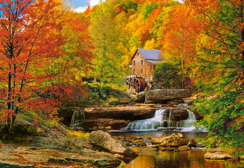 Magical Autumn