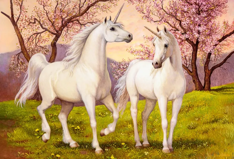 Unicorn Love
