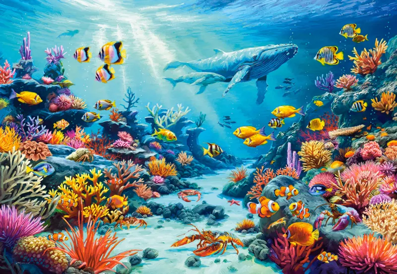 Coral Village