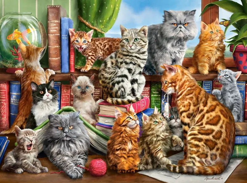 House of Cats