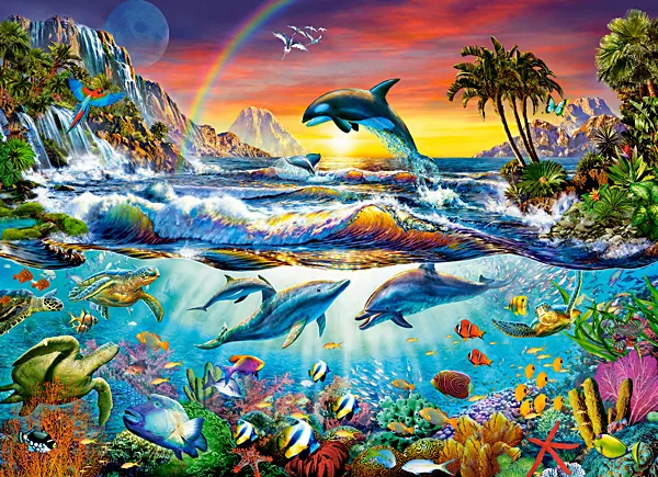 Paradise Cove