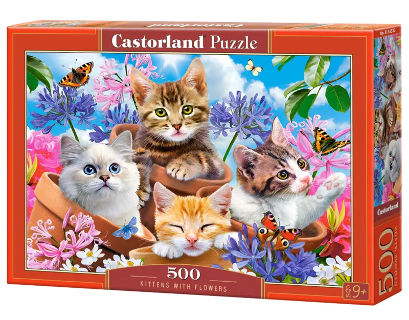 Kittens with Flowers