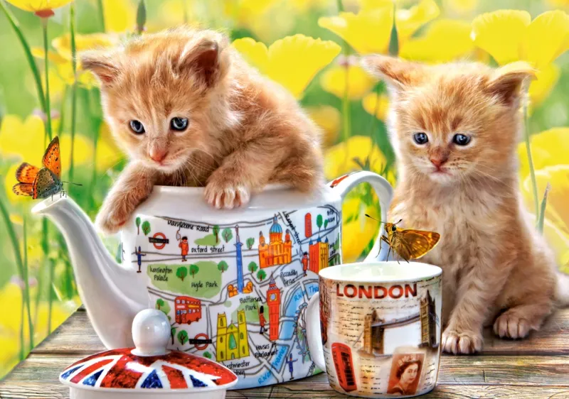 Tea Time