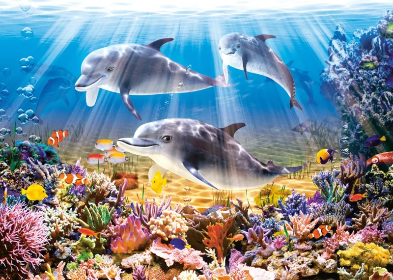 Dolphin World